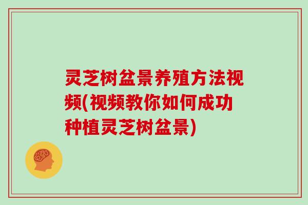 灵芝树盆景养殖方法视频(视频教你如何成功种植灵芝树盆景)