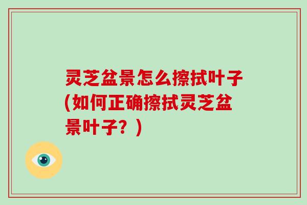 灵芝盆景怎么擦拭叶子(如何正确擦拭灵芝盆景叶子？)