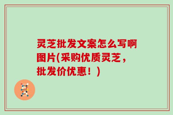 灵芝批发文案怎么写啊图片(采购优质灵芝,批发价优惠!)