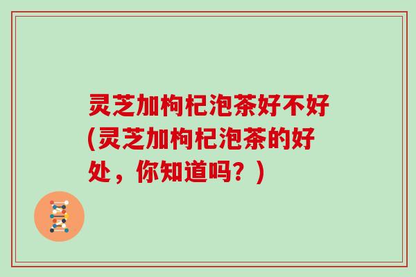 灵芝加枸杞泡茶好不好(灵芝加枸杞泡茶的好处,你知道吗?)