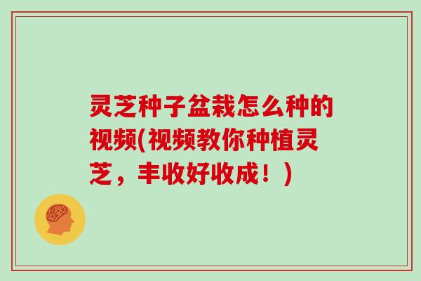 灵芝种子盆栽怎么种的视频(视频教你种植灵芝,丰收好收成!)