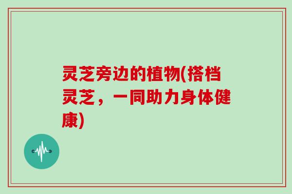 灵芝旁边的植物(搭档灵芝,一同助力身体健康)