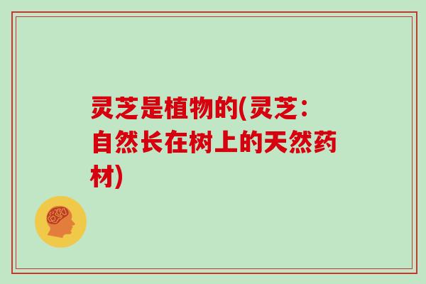 灵芝是植物的(灵芝:自然长在树上的天然药材)