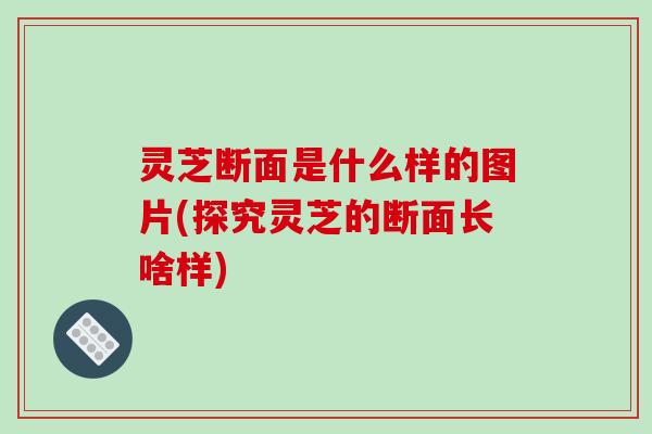 灵芝断面是什么样的图片(探究灵芝的断面长啥样)