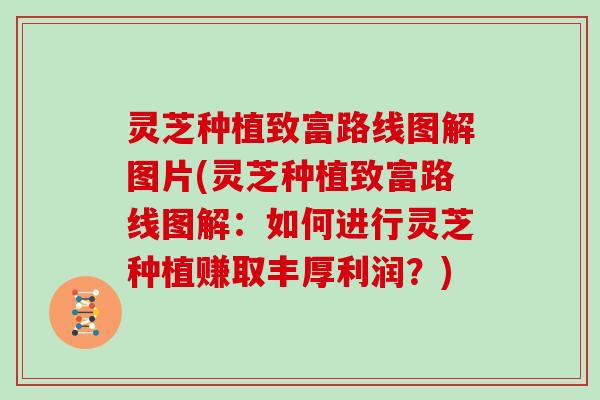 灵芝种植致富路线图解图片(灵芝种植致富路线图解:如何进行灵芝种植赚取丰厚利润?)
