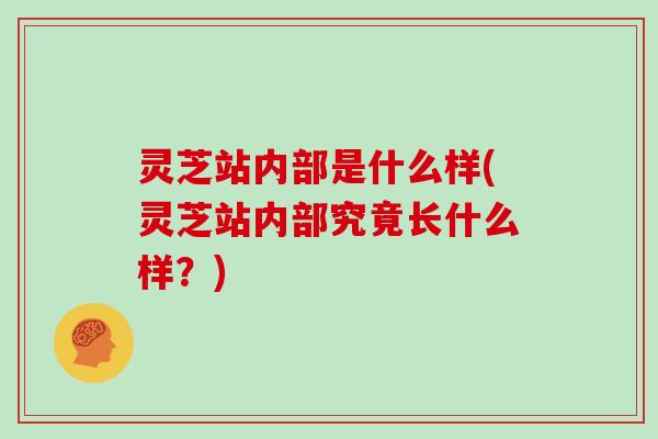 灵芝站内部是什么样(灵芝站内部究竟长什么样?)