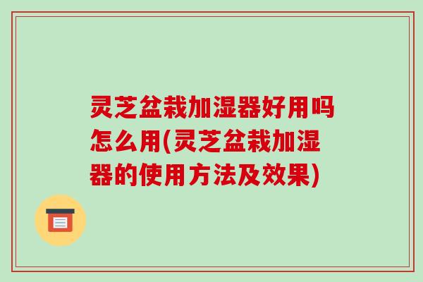 灵芝盆栽加湿器好用吗怎么用(灵芝盆栽加湿器的使用方法及效果)