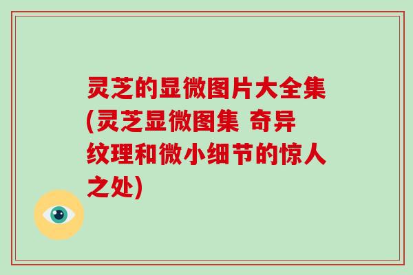 灵芝的显微图片大全集(灵芝显微图集 奇异纹理和微小细节的惊人之处)