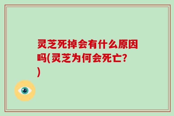 灵芝死掉会有什么原因吗(灵芝为何会死亡？)