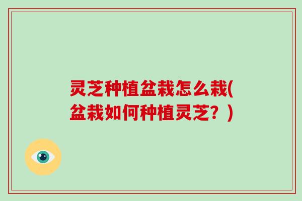 灵芝种植盆栽怎么栽(盆栽如何种植灵芝？)