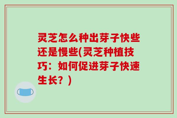 灵芝怎么种出芽子快些还是慢些(灵芝种植技巧:如何促进芽子快速生长?)