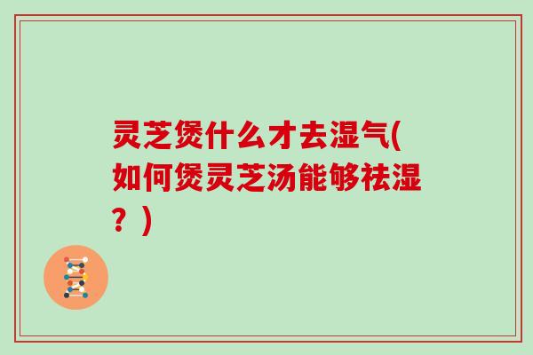 灵芝煲什么才去湿气(如何煲灵芝汤能够祛湿?)