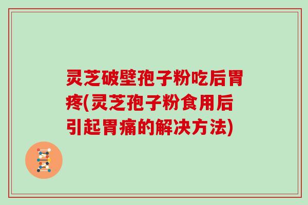灵芝破壁孢子粉吃后胃疼(灵芝孢子粉食用后引起胃痛的解决方法)