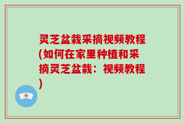 灵芝盆栽采摘视频教程(如何在家里种植和采摘灵芝盆栽：视频教程)