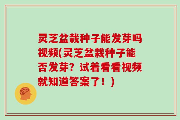 灵芝盆栽种子能发芽吗视频(灵芝盆栽种子能否发芽?试着看看视频就知道答案了!)
