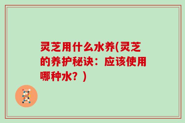 灵芝用什么水养(灵芝的养护秘诀:应该使用哪种水?)