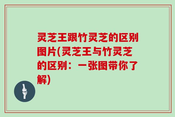 灵芝王跟竹灵芝的区别图片(灵芝王与竹灵芝的区别:一张图带你了解)