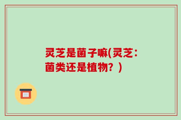 灵芝是菌子嘛(灵芝:菌类还是植物?)