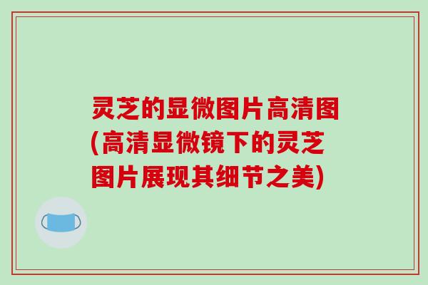 灵芝的显微图片高清图(高清显微镜下的灵芝图片展现其细节之美)