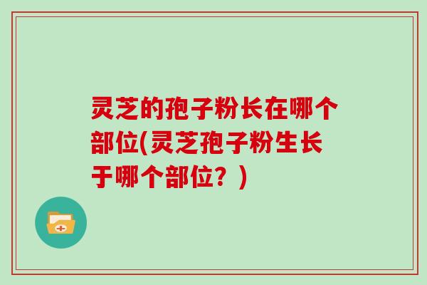 灵芝的孢子粉长在哪个部位(灵芝孢子粉生长于哪个部位?)