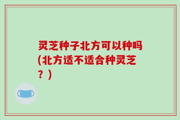 灵芝种子北方可以种吗(北方适不适合种灵芝?)