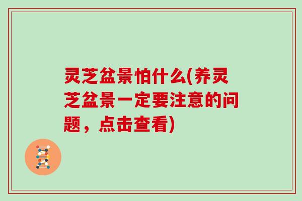 灵芝盆景怕什么(养灵芝盆景一定要注意的问题，点击查看)