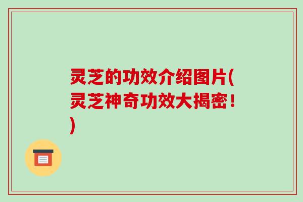 灵芝的功效介绍图片(灵芝神奇功效大揭密!)