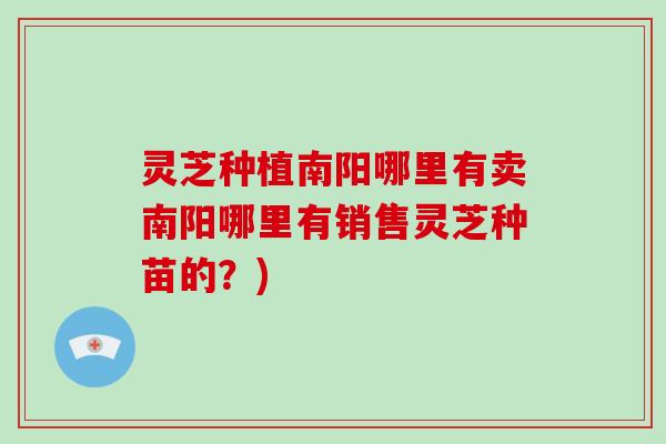 灵芝种植南阳哪里有卖南阳哪里有销售灵芝种苗的?)