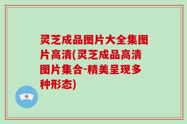 灵芝成品图片大全集图片高清(灵芝成品高清图片集合-精美呈现多种形态)