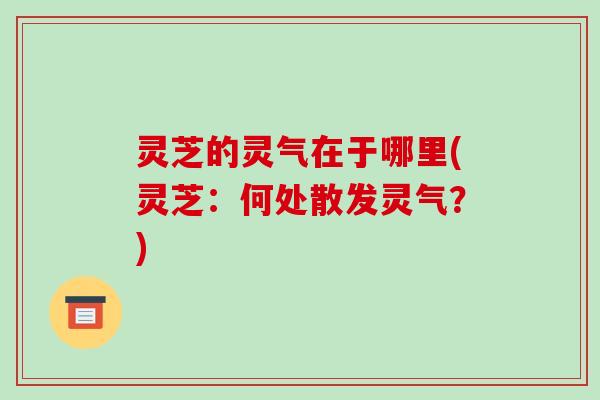 灵芝的灵气在于哪里(灵芝:何处散发灵气?)