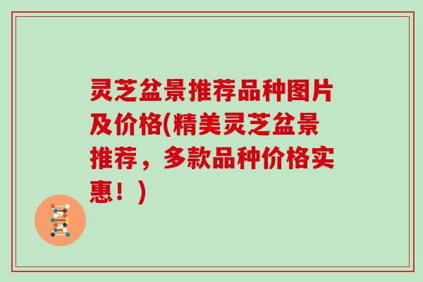 灵芝盆景推荐品种图片及价格(精美灵芝盆景推荐，多款品种价格实惠！)