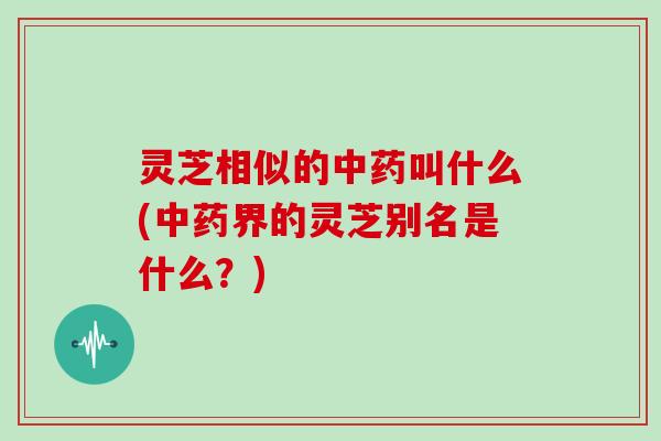 灵芝相似的中药叫什么(中药界的灵芝别名是什么?)