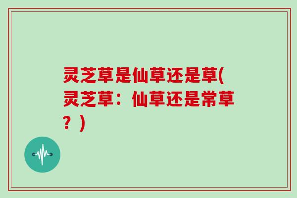 灵芝草是仙草还是草(灵芝草：仙草还是常草？)