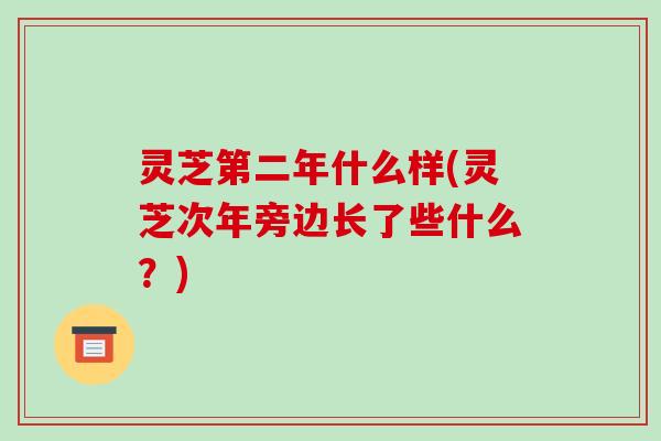 灵芝第二年什么样(灵芝次年旁边长了些什么?)