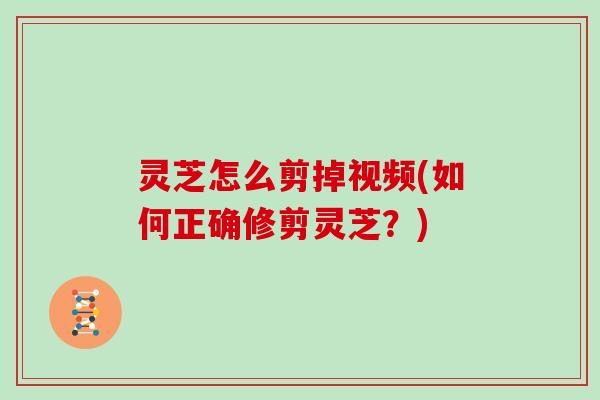 灵芝怎么剪掉视频(如何正确修剪灵芝？)