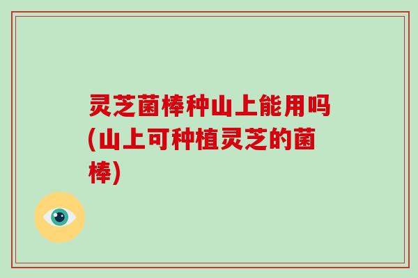 灵芝菌棒种山上能用吗(山上可种植灵芝的菌棒)