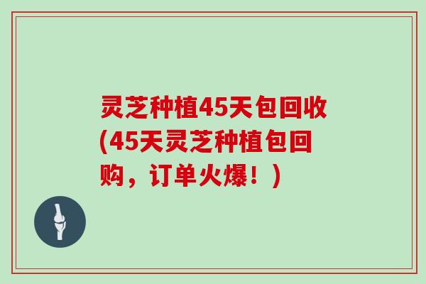 灵芝种植45天包回收(45天灵芝种植包回购，订单火爆！)