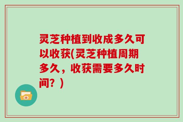 灵芝种植到收成多久可以收获(灵芝种植周期多久，收获需要多久时间？)