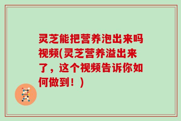 灵芝能把营养泡出来吗视频(灵芝营养溢出来了,这个视频告诉你如何做到!)