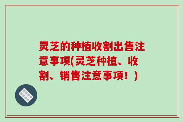 灵芝的种植收割出售注意事项(灵芝种植、收割、销售注意事项！)
