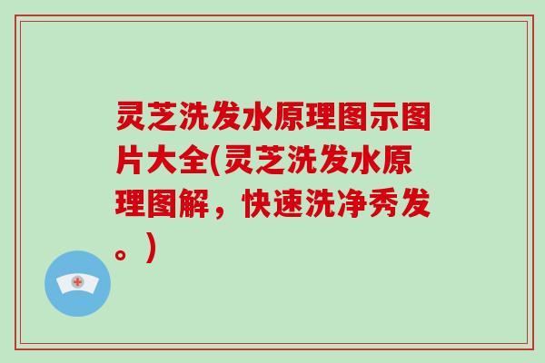 灵芝洗发水原理图示图片大全(灵芝洗发水原理图解，快速洗净秀发。)