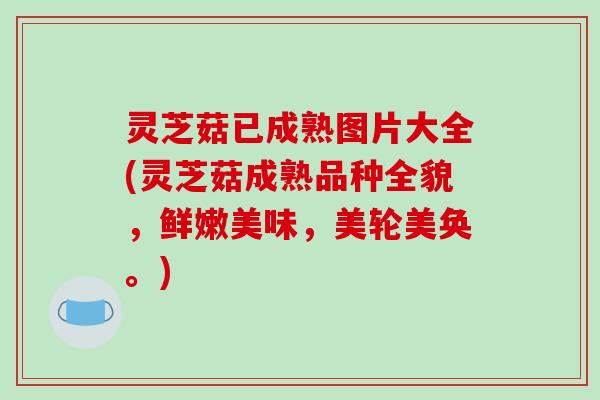 灵芝菇已成熟图片大全(灵芝菇成熟品种全貌，鲜嫩美味，美轮美奂。)