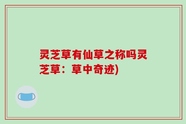 灵芝草有仙草之称吗灵芝草:草中奇迹)
