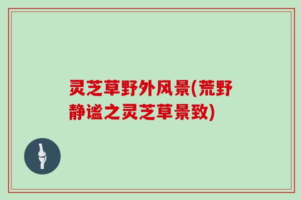 灵芝草野外风景(荒野静谧之灵芝草景致)