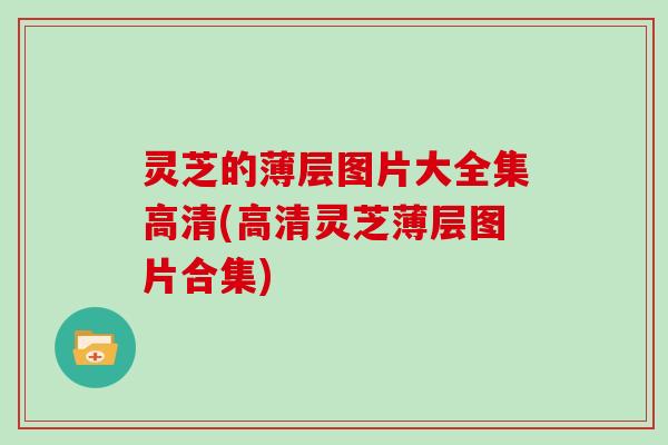 灵芝的薄层图片大全集高清(高清灵芝薄层图片合集)