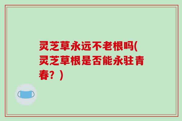灵芝草永远不老根吗(灵芝草根是否能永驻青春?)