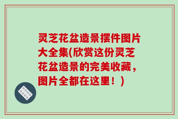 灵芝花盆造景摆件图片大全集(欣赏这份灵芝花盆造景的完美收藏,图片全都在这里!)