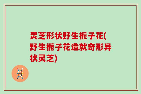 灵芝形状野生栀子花(野生栀子花造就奇形异状灵芝)