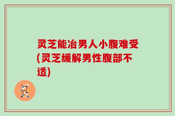灵芝能冶男人小腹难受(灵芝缓解男性腹部不适)