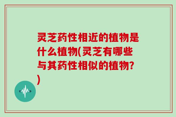 灵芝药性相近的植物是什么植物(灵芝有哪些与其药性相似的植物？)